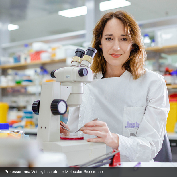 Professor Vetter sits at a microscope in a research lab and smiles for the camera; below are the words: 