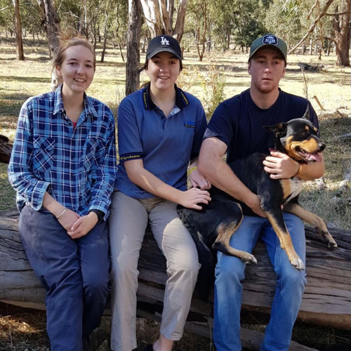 Lexie with her sister Coco and her brother Sandy