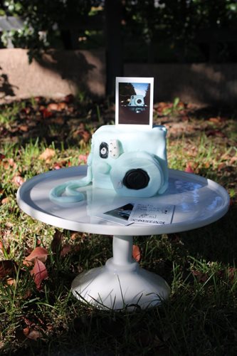 Sitting atop a pretty, white cake stand is one of the baked goods produced by the school for the fundraiser - a sponge cake that is shaped and decorated to look like a Polaroid camera; some Polaroid photos have been placed on the cake stand and coming out of the cake to complete the effect.